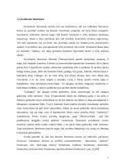 Feminizmas socialiniame darbe 7 puslapis