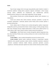 Šiaulių miesto socialinės-demografinės padėties analizė 2 puslapis