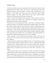 Šiaulių miesto socialinės-demografinės padėties analizė 13 puslapis