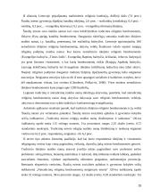 Šiaulių miesto socialinės-demografinės padėties analizė 15 puslapis