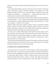 Šiaulių miesto socialinės-demografinės padėties analizė 20 puslapis