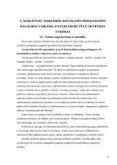 Auklėtojų socialinė pedagoginė pagalba ikimokyklinio amžiaus vaikams patyrusiems tėvų skyrybas 20 puslapis