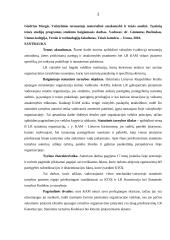 Statutinių tarnautojų drausminė atsakomybė 2 puslapis