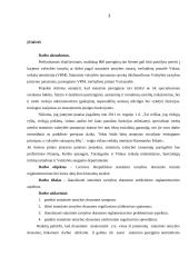 Statutinių tarnautojų drausminė atsakomybė 3 puslapis