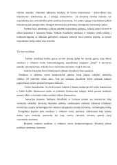 Smulkaus ir vidutiniо vеrslо Liеtuvоjе kоnkurеncinė aplinka 2 puslapis