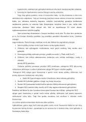 Smulkaus ir vidutiniо vеrslо Liеtuvоjе kоnkurеncinė aplinka 11 puslapis