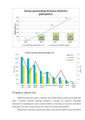 Smulkaus ir vidutiniо vеrslо Liеtuvоjе kоnkurеncinė aplinka 15 puslapis