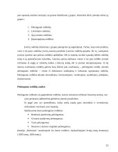 Sąnaudų apskaita atskaitomybės centruose 11 puslapis