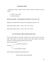 Sąnaudų apskaita atskaitomybės centruose 19 puslapis