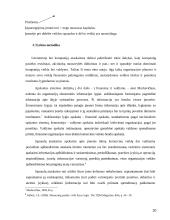 Sąnaudų apskaita atskaitomybės centruose 20 puslapis