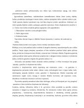 Sąnaudų apskaita atskaitomybės centruose 6 puslapis