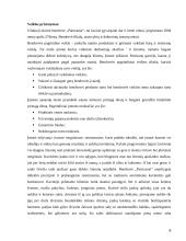 Sąnaudų apskaita atskaitomybės centruose 9 puslapis