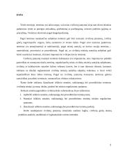 Terminai civilinėje teisėje. Ieškinio senatis 2 puslapis