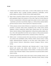 Terminai civilinėje teisėje. Ieškinio senatis 13 puslapis