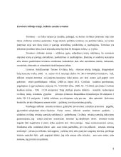 Terminai civilinėje teisėje. Ieškinio senatis 3 puslapis