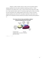 Lietuvos priešgaisrinės gelbėjimo tarnybos vertinimas 11 puslapis