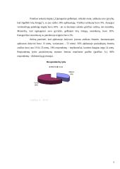 Lietuvos priešgaisrinės gelbėjimo tarnybos vertinimas 5 puslapis