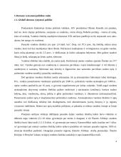 Darnus vandens ūkio vystymasis aplinkosauginiu požiūriu 4 puslapis