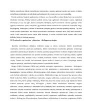 Didelio meistriškumo triatlonininkų fizinio krūvio paruošimas 13 puslapis