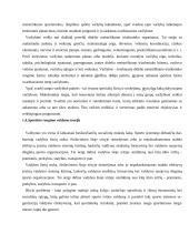 Didelio meistriškumo triatlonininkų fizinio krūvio paruošimas 14 puslapis