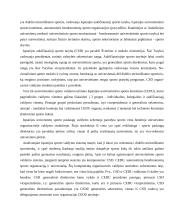 Didelio meistriškumo triatlonininkų fizinio krūvio paruošimas 16 puslapis