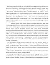 Didelio meistriškumo triatlonininkų fizinio krūvio paruošimas 17 puslapis