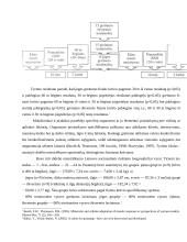 Didelio meistriškumo triatlonininkų fizinio krūvio paruošimas 4 puslapis