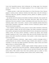 Didelio meistriškumo triatlonininkų fizinio krūvio paruošimas 5 puslapis