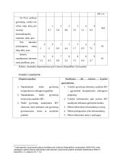 Ekonominiai švietimo sistemos pertvarkos aspektai Lietuvoje. Kursinis darbas 16 puslapis