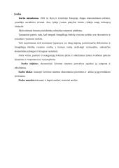 Ekonominiai švietimo sistemos pertvarkos aspektai Lietuvoje. Kursinis darbas 3 puslapis