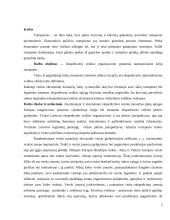 Ekspedicinės veiklos organizavimo ypatumai tarptautiniame kelių transporte 2 puslapis