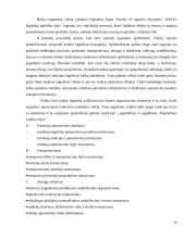 Ekspedicinės veiklos organizavimo ypatumai tarptautiniame kelių transporte 14 puslapis