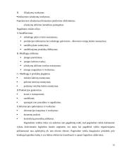 Ekspedicinės veiklos organizavimo ypatumai tarptautiniame kelių transporte 15 puslapis