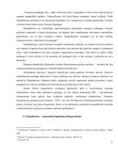 Ekspedicinės veiklos organizavimo ypatumai tarptautiniame kelių transporte 17 puslapis