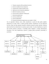 Ekspedicinės veiklos organizavimo ypatumai tarptautiniame kelių transporte 19 puslapis