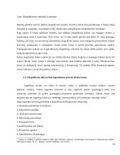 Ekspedicinės veiklos organizavimo ypatumai tarptautiniame kelių transporte 20 puslapis