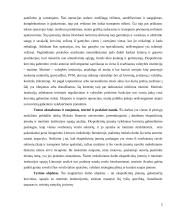 Ekspedicinės veiklos organizavimo ypatumai tarptautiniame kelių transporte 3 puslapis