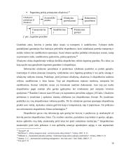 Ekspedicinės veiklos organizavimo ypatumai tarptautiniame kelių transporte 10 puslapis