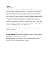 E–komercijos teoriniai pagrindai bei jos strategijos ypatumai, formavimosi dėsningumai 2 puslapis