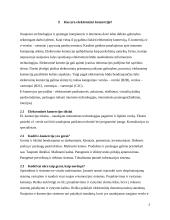 E–komercijos teoriniai pagrindai bei jos strategijos ypatumai, formavimosi dėsningumai 3 puslapis