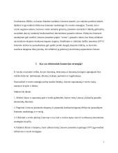 E–komercijos teoriniai pagrindai bei jos strategijos ypatumai, formavimosi dėsningumai 7 puslapis