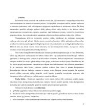 Projekto rizika, jos kompiuterinės komunikacijos valdymo galimybės 2 puslapis