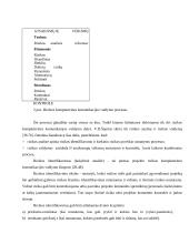 Projekto rizika, jos kompiuterinės komunikacijos valdymo galimybės 11 puslapis