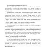 Projekto rizika, jos kompiuterinės komunikacijos valdymo galimybės 12 puslapis