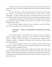 Projekto rizika, jos kompiuterinės komunikacijos valdymo galimybės 13 puslapis