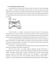 Projekto rizika, jos kompiuterinės komunikacijos valdymo galimybės 14 puslapis