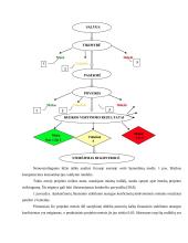 Projekto rizika, jos kompiuterinės komunikacijos valdymo galimybės 16 puslapis