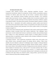 Projekto rizika, jos kompiuterinės komunikacijos valdymo galimybės 18 puslapis