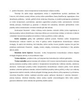 Projekto rizika, jos kompiuterinės komunikacijos valdymo galimybės 3 puslapis