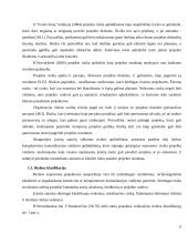 Projekto rizika, jos kompiuterinės komunikacijos valdymo galimybės 6 puslapis